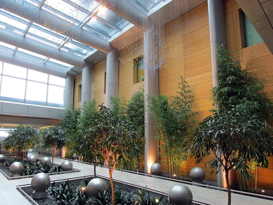 SCVMC